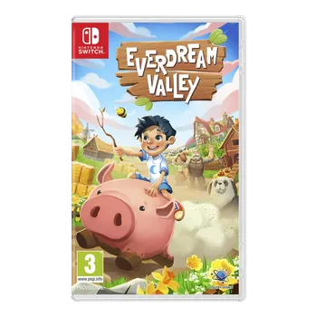 Hra pro Nintendo Everdream Valley (Switch)