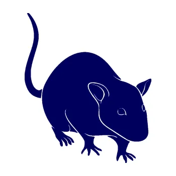 Samolepící dekorace SAMOLEPKA Krysa 003 pravá (23 - tmavě modrá) NA AUTO, NÁLEPKA, FÓLIE, POLEP, TUNING, VLASTNÍ TEXT, TISK, AUTOSAMOLEPKY.cz, POLEPY, OBRÁZEK, LOGO, SAMOLEPKY