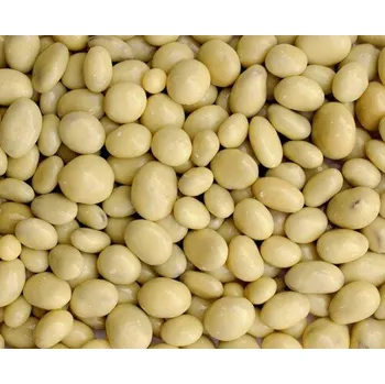 Sušené ovoce Rozinky v jogurtové polevě 1 kg