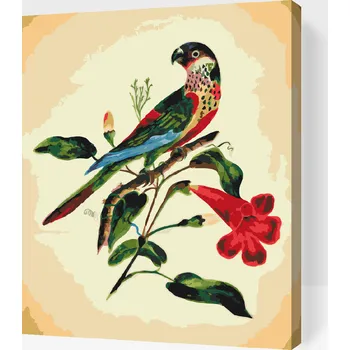 Malování podle čísel - Vintage pták Velikost: 30x40cm, Rámování: Pouze srolované plátno