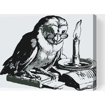 Malování podle čísel - Vzdělaná sova Velikost: 30x40cm, Rámování: Pouze srolované plátno