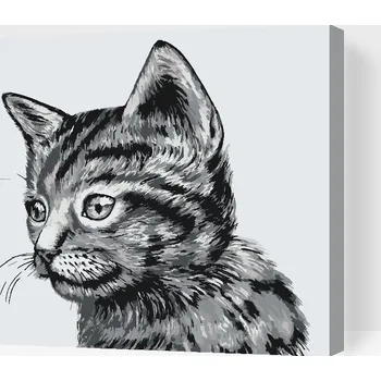 Malování podle čísel - Roztomilé černobílé koťátko Velikost: 30x40cm, Rámování: Pouze srolované plátno
