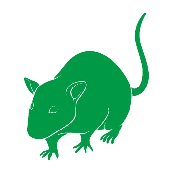 Samolepící dekorace Krysa 003 levá (12 - zelená) SAMOLEPKA NA AUTO, NÁLEPKA, FÓLIE, POLEP, TUNING, VLASTNÍ TEXT, TISK, AUTOSAMOLEPKY.cz, POLEPY, OBRÁZEK, LOGO, 3D STICKERS