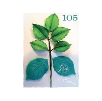 Jedlá dekorace na dort Silikonová forma žilkovač listy růží - Galias Moulds