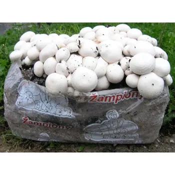 Substrát Václavík Substrát na pěstování žampionů 15 l