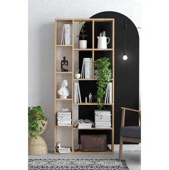 Knihovna ASIR Knihovna DEMIOS dub