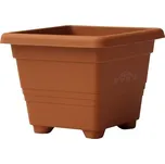 Obal 50x50cm BEGONIA TER