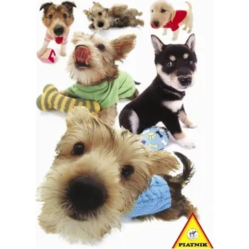 Puzzle Piatnik Puzzle Hanadeka Štěňata 100 dílků