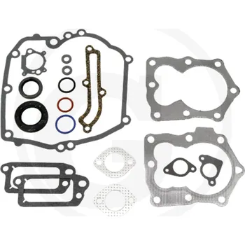 Sada těsnění Briggs and Stratton 590508, 794307, 497316