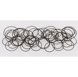 TOOLCRAFT sortiment těsnění 100dílná