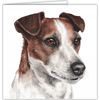 Přání v obálce Jack Russell, WD 16,5 x 16,5 cm (Blahopřání s obálkou s pejskem, psi, pes)