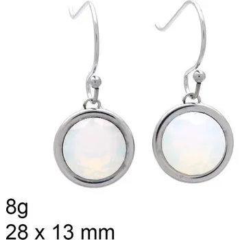 Náušnice Ocelové náušnice - Houpací Ocelové náušnice - 28 x 13 mm