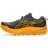 Pánská běžecká obuv Asics Trabuco Max 2 1011B606-001
