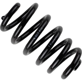 Pružina podvozku, , 8E0511115DM, BILSTEIN, 36-283125