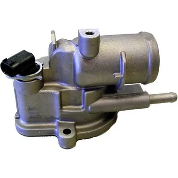 Motor automobilu Termostat, chladivo BORGWARNER 410174.92D