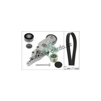 Rozvod motoru Sada žebrovaných klínových řemenů INA (IN 529013410)