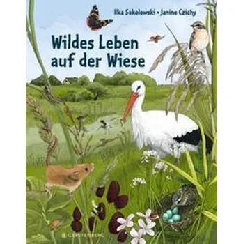 Příroda Wildes Leben auf der Wiese - Sokolowski, Ilka