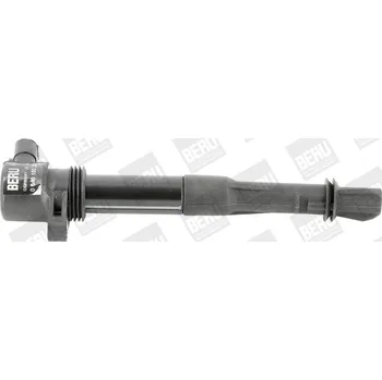 Zapalovací cívka Zapalovací cívka BorgWarner (BERU) ZS320