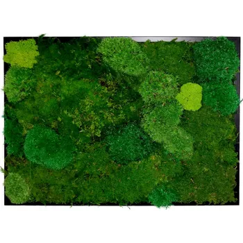 Obraz Mechový obraz černý rám 42 x 32 cm Tři mechy