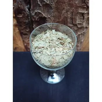 Eukalypt list - Bylinky (Eucalypti Folium cs.)