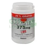 Magnex 375 mg +B6 tbl.250
