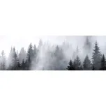 DIMEX KI-180-143 180 x 60 cm mlha