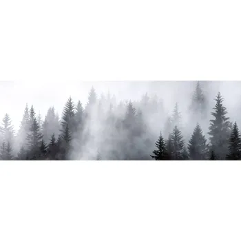 Fototapeta DIMEX KI-180-143 180 x 60 cm mlha