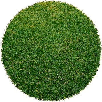 Koberec Kruhový travní koberec Botanic zelený 200 x 200 cm