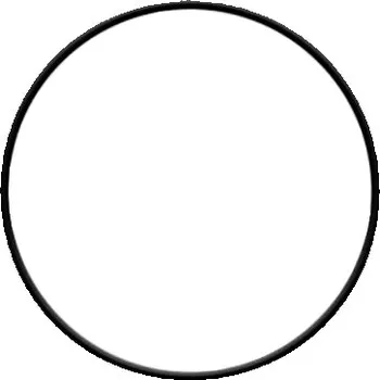 Těsnění torické víka čerpadla SENA+COMP