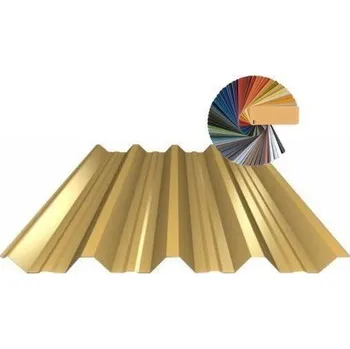 plechová krytina Blachdom Plus Omak Line Plechová střešní krytina T55 0,5 PU lesk 55μm