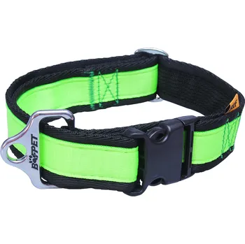 Obojek pro psa BAFPET Popruhové obojky JEDNOBAREVNÉ Barva: Zelená, Rozměr: 40mm x 43-74cm 18104J