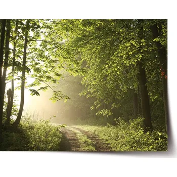 Plakát Sablio Plakát Lesní cesta - 60x40 cm