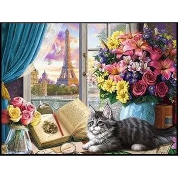Diamantové malování Diamantové malování - Kočka s knihou v Paříži - č. 807 65x85 cm