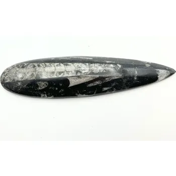 Přírodní kámen Magieprirody.cz Fosilie Orthoceras 200 mm (Maroko) #K676