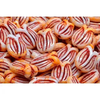 Korálek Korálky Tulip Bell (16x11 mm) č.2089