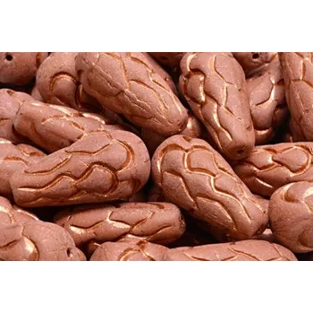 Korálek Korálky Šiška borová (25x12mm) č. 33