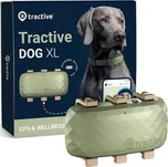 Tractive Dog XL zelený