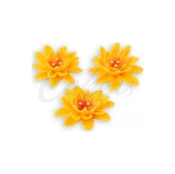 Jedlá dekorace na dort Protěž žlutá,3ks