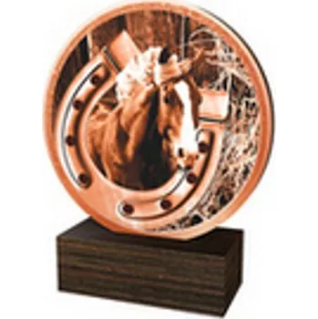 Poháry Bauer Dřevěná plaketa TFRW657 | Jezdectví