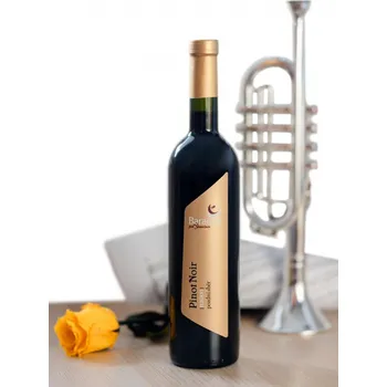 Pinot Noir, pozdní sběr, Vinařství Baraque, suché