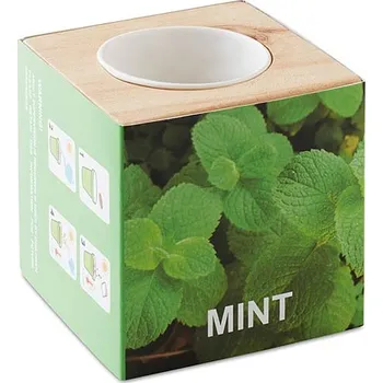 Truhlík Dřevěný truhlík na bylinky - Menta, dřevo