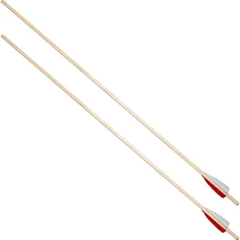 Karnevalový doplněk imago Šíp dřevěný, péřové letky, univerzální délka