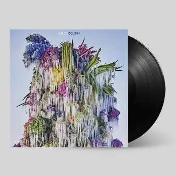 Zahraniční hudba LP Wilco: Cousin 2023