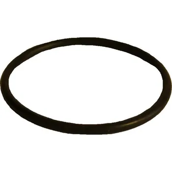 Postřikovač Těsnění pro postřikovač DIANA a VENERE, O kroužek pístu, DAL DEGAN