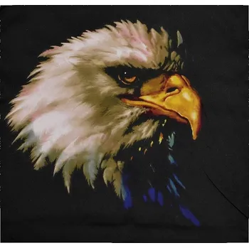 Povlak na dekorativní polštářek 3D povláček na polštářek APEX - Orel - Povláček na polštářek