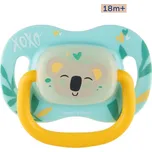 Canpol babies Dudlík silikonový symetrický EXOTIC ANIMALS 18m+ koala
