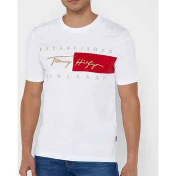 Pánské bílé triko Tommy Hilfiger - Velikost L, Barva Bílá 33346 MW0MW16598