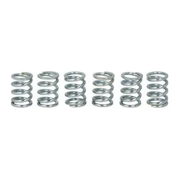 Spojkové pružiny TRW Suzuki GSX 1300 R Hayabusa 02-08