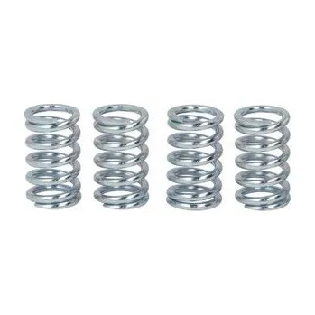 Spojkové pružiny TRW Honda MT 50 S 80-
