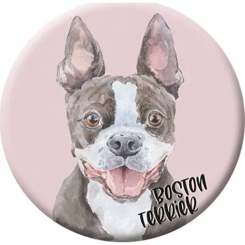Button (placka) se špendlíkem 44 mm - Boston Terrier